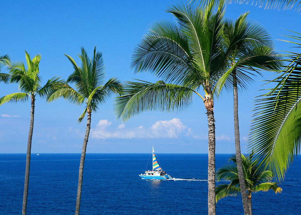 Blue Hawaii.jpg