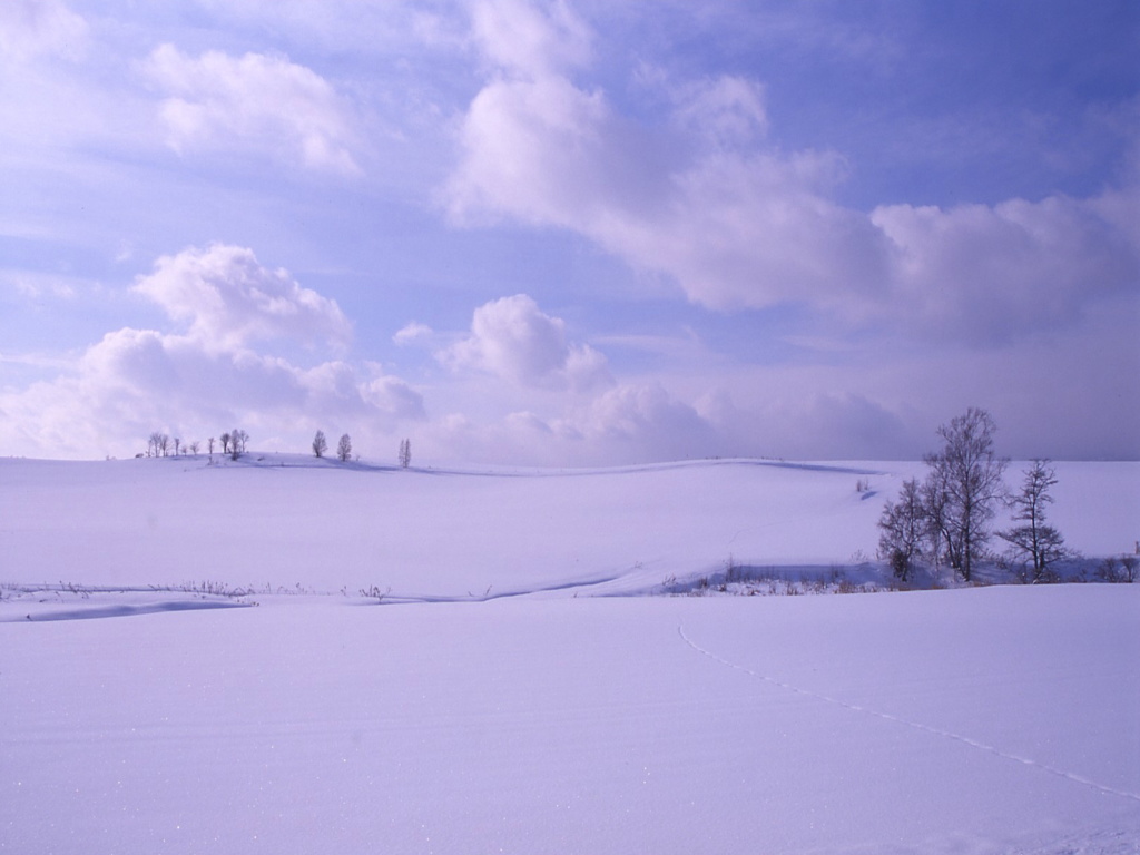 北海道雪景色壁紙