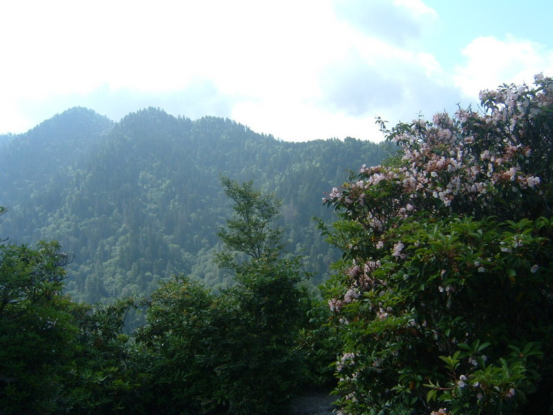 Chimney Tops.jpg