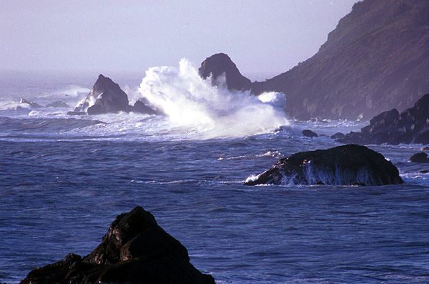 Coastline area.jpg