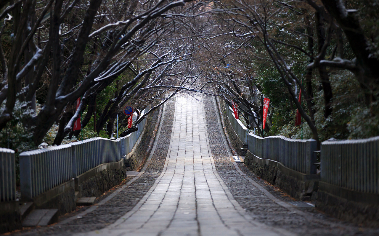 冬景色 向日 むこう 神社 京都 ついてるレオさん Happy Life