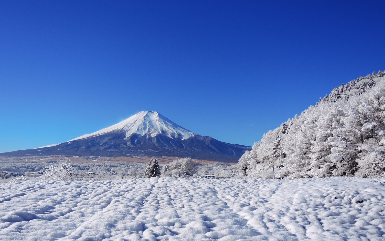 冬景色 富士山 忍野村 山梨 ついてるレオさん Happy Life