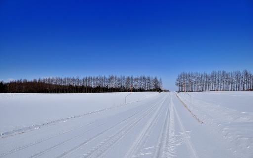 冬景色 雪道 更別村 北海道.jpg