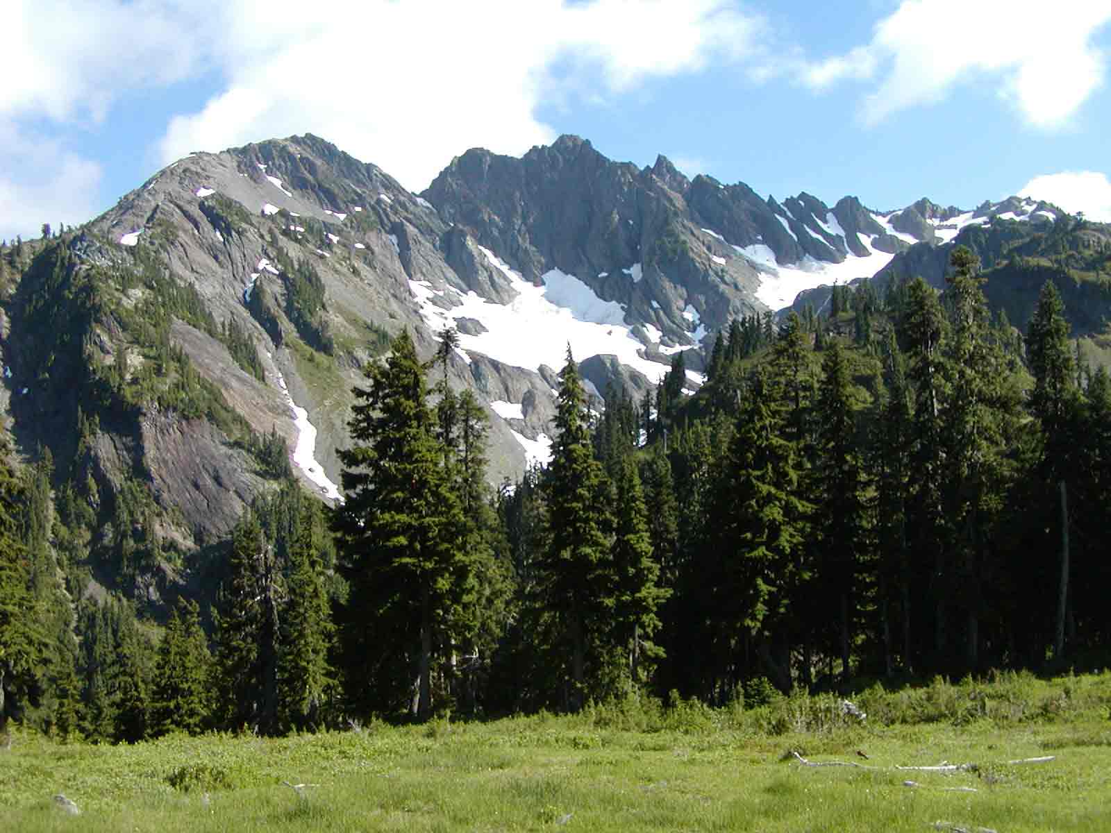 Olympic Mountains.jpg